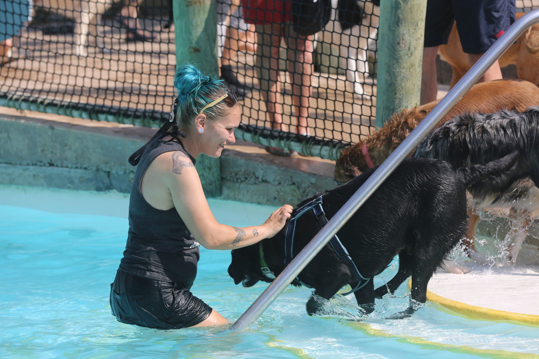 090919_gal_WWdogs (22)